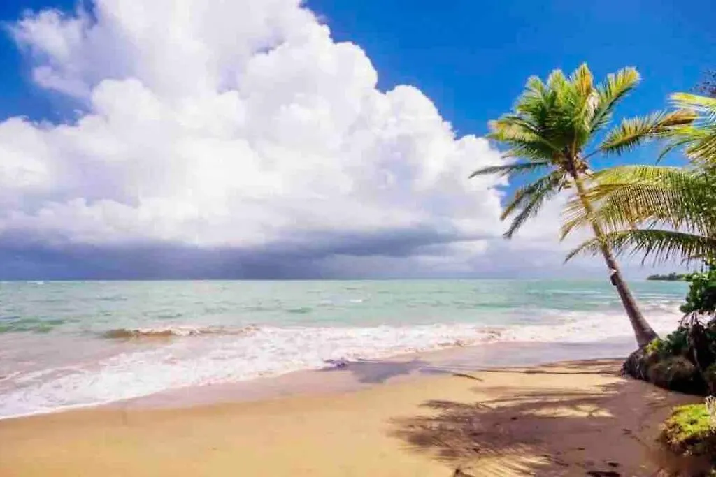 Apartment 3Bedrm Beach Penthouse With Rooftop Terrace & Wifi Rio Grande Puerto Rico