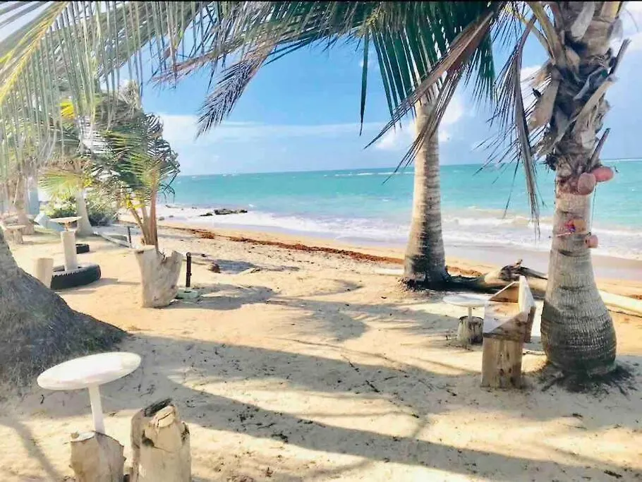 3Bedrm Beach Penthouse With Rooftop Terrace & Wifi Rio Grande Apartment